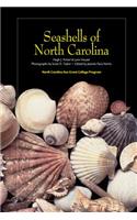 Seashells of North Carolina