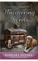 Uncovering Secrets