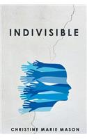 Indivisible