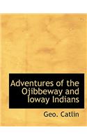 Adventures of the Ojibbeway and Ioway Indians