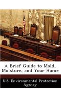 A Brief Guide to Mold, Moisture, and Your Home