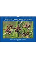 L'Instant De Quelques Mots 2018: Quand Les Mots Croisent Le Regard(Calvendo Art)