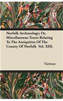 Norfolk Archaeology; Or, Miscellaneous Tracts Relating To The Antiquities Of The County Of Norfolk Vol. XIII.: (English)