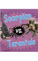 Scorpion vs. Tarantula: (Animal Rivals)
