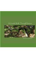 A Gentle Walk Through Nature