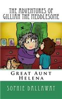 The adventures of Gillian the Meddlesome