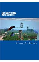 The Story of My Minecraft Life
