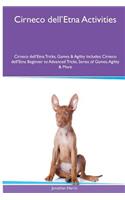 Cirneco dell'Etna Activities Cirneco dell'Etna Tricks, Games & Agility. Includes: Cirneco dell'Etna Beginner to Advanced Tricks, Series of Games, Agility and More