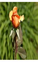 Floral Journal Orange Rose Bud