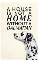 A House is not a Home Without a Dalmatian