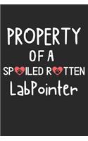 Property Of A Spoiled Rotten LabPointer
