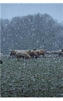 Sheep in a Field While it's Snowing Journal: Take Notes, Write Down Memories in this 150 Page Lined Journal