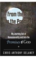 From the Pit to the Promise: My Journey Out of Homosexuality and Into the Promises of God