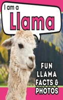 I am a Llama