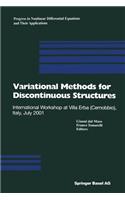 Variational Methods for Discontinuous Structures