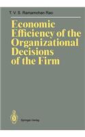 Economic Efficiency of the Organizational Decisions of the Firm