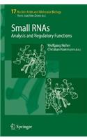 Small RNAs