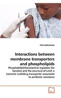 Interactions between membrane transporters and phospholipids