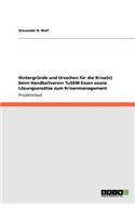 Hintergründe und Ursachen für die Krise(n) beim Handballverein TuSEM Essen sowie Lösungsansätze zum Krisenmanagement
