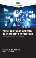 Principes fondamentaux du marketing numérique