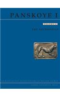 Panskoye 1, Volume 1