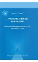 Direct and Large-Eddy Simulation II