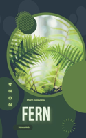 Fern: Simply beginners guide