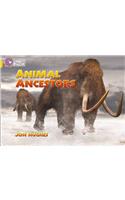 Animal Ancestors Workbook