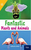 Bookroom Pack Grade 1: Fantastic Plants and Animals