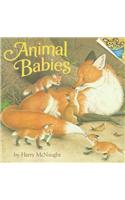 Animals' Babies
