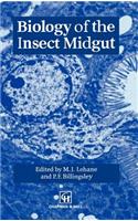Biology of the Insect Midgut