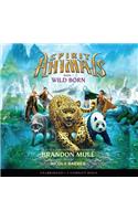 Wild Born (Spirit Animals, Book 1) (Unabridged Edition)