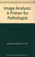 Image Analysis: A Primer for Pathologists