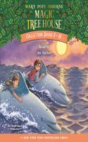 Magic Tree House Collection: Books 9-16