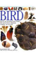 DK Eyewitness Guides:  Bird: (DK Eyewitness)