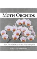 Moth Orchids