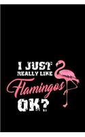 I Just Really Like Flamingos Ok?: Notebook 120 Pages Journal 6x9 Blank Line