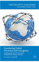 Countering Global Terrorism and Insurgency: Calculating the Risk of State Failure in Afghanistan, Pakistan and Iraq