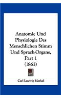 Anatomie Und Physiologie Des Menschlichen Stimm Und Sprach-Organs, Part 1 (1863)