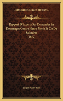Rapport D'Experts Sur Demandes En Dommages Contre Henry Merle Et Cie De Salindres (1872)
