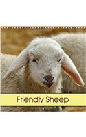 Friendly Sheep 2017: Farm Animals(Calvendo Animals)