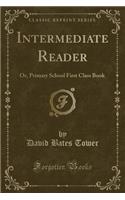 Intermediate Reader: Or, Primary School First Class Book (Classic Reprint)