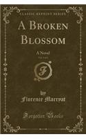 A Broken Blossom, Vol. 1 of 3: A Novel (Classic Reprint)