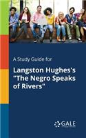 Study Guide for Langston Hughes's "The Negro Speaks of Rivers"