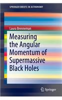 Measuring the Angular Momentum of Supermassive Black Holes