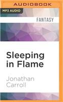Sleeping in Flame