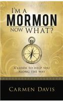 I'm a Mormon, Now What?