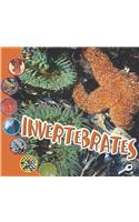 Invertebrates