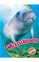 Manatees