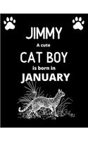 JIMMY a cute cat boy is born in January